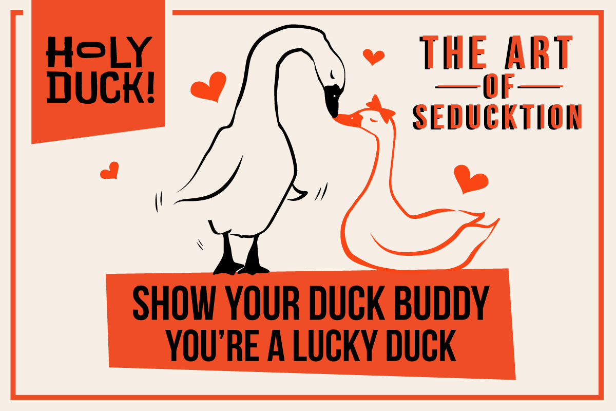 Valentine's Day - Holy Duck